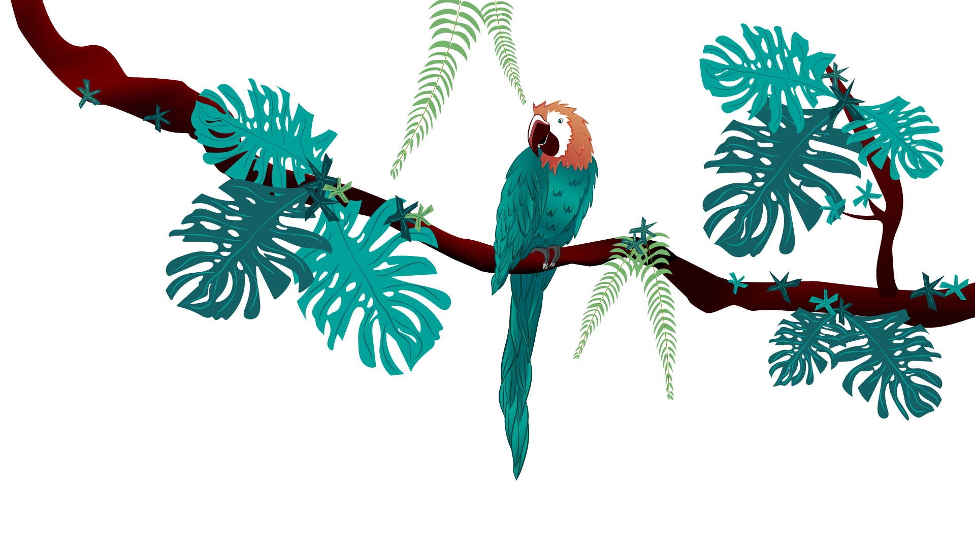 Illustration de mon perroquet sur une branche