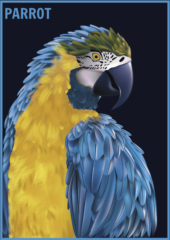 Illustration Portrait d'un perroquet